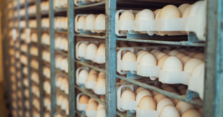 The Exact Amount of Time Eggs Actually Last in Your Fridge - Featured image