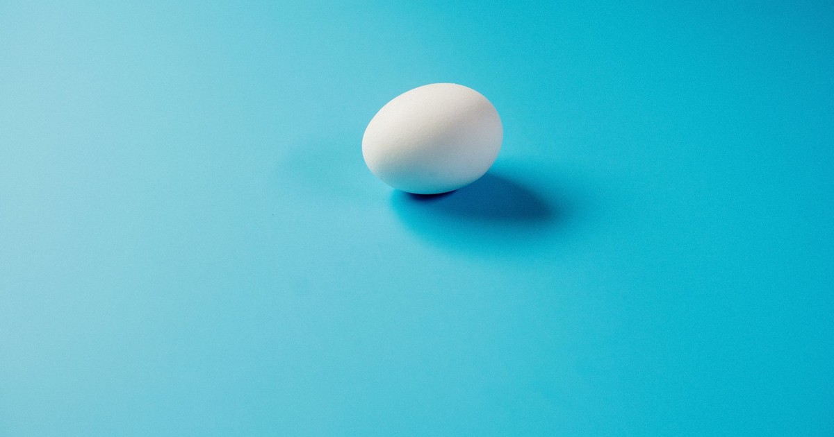 A minimalist still life image of a white egg on a vibrant blue background, showcasing simplicity in design.