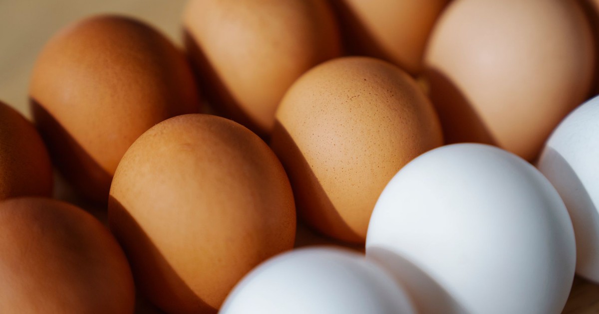 Close-up of brown and white eggs arranged on a surface, showcasing their texture and color.