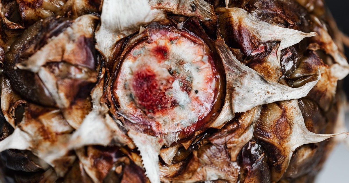 Closeup of texture of whole ripe fresh pineapple with brown peel placed on white surface
