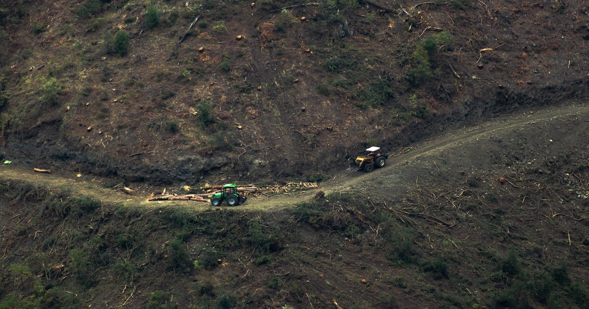 Trump’s Forest Logging Plan Could Threaten Drinking Water for 25 Million Americans