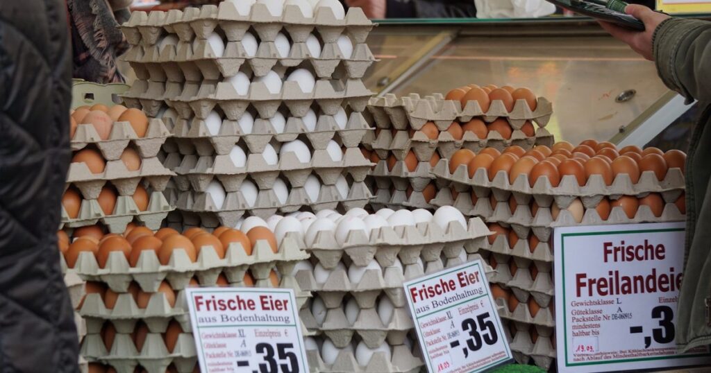 The Egg Price-Fixing Settlement Is Real — Here’s What You’re Actually Owed - Featured image