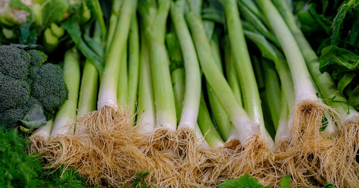 Close-up of fresh green onions, broccoli, and cauliflower showcasing vibrant healthy produce.