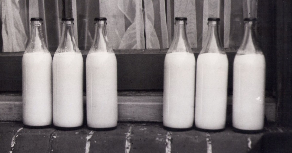 Nearly 60 Idahoans Got Sick From Raw Milk — Here’s What You Need to Know