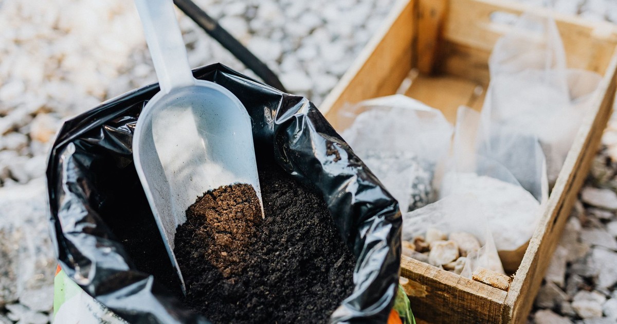 Close-up of gardening essentials with soil scoop, bag, and wooden box in garden setting.