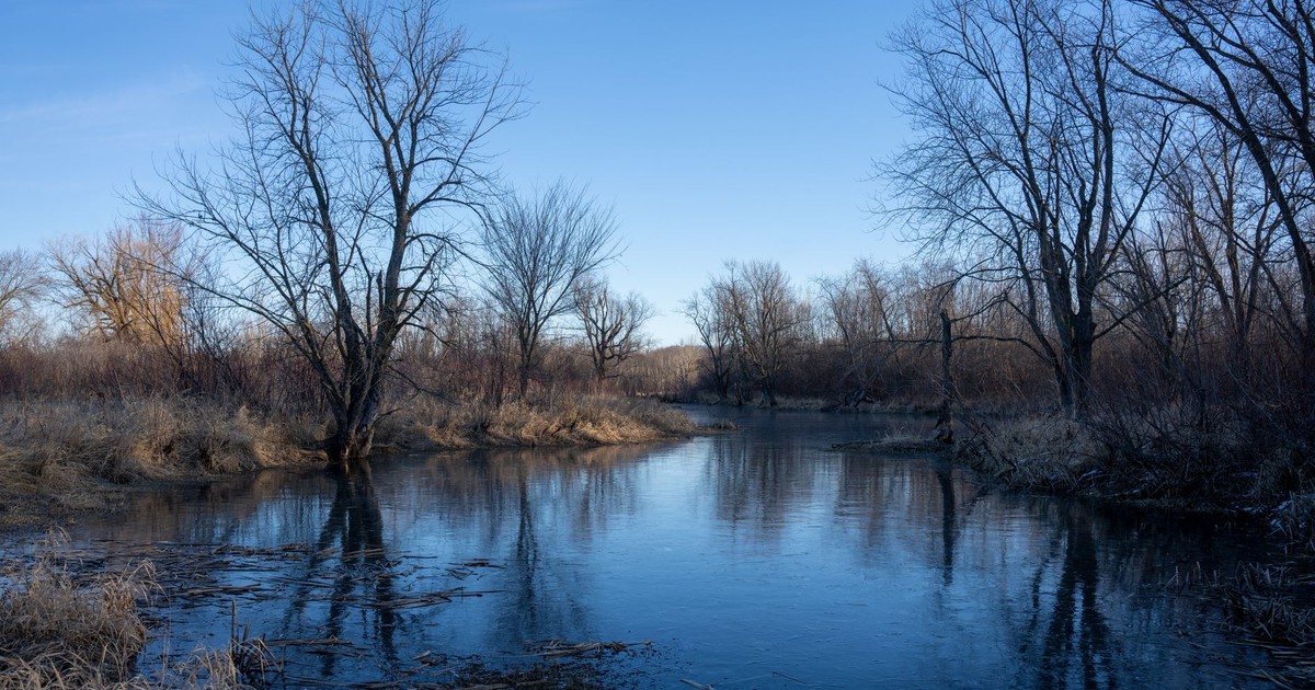 A serene winter river scene with bare trees and a clear sky in rural Minnesota.