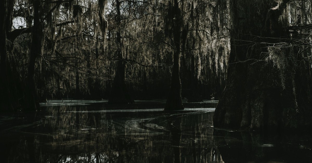A mysterious swamp scene with cypress trees and Spanish moss creating a dark and eerie atmosphere.