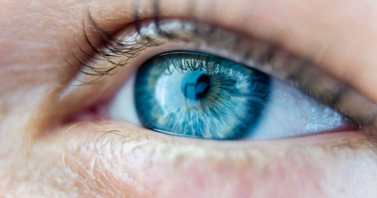 A detailed close-up of a blue eye with reflections and visible eyelashes.