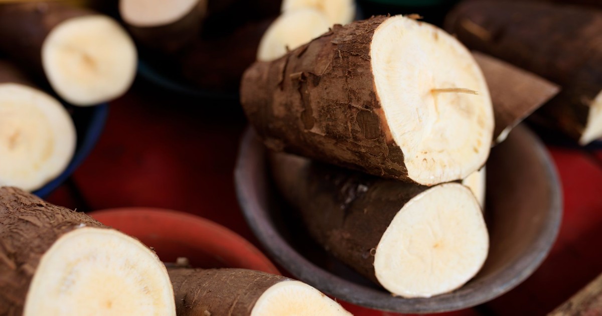 Close-up image of freshly cut cassava roots arranged in bowls, ready for cooking.