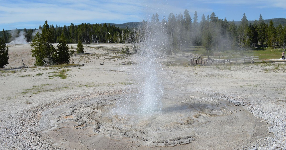 A vibrant geyser eruption in Yellowstone National Park's geothermal landscape.